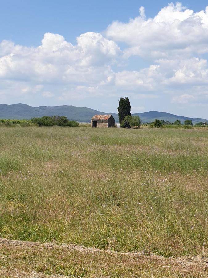 La Grange Du Cade Villa Magalas Buitenkant foto